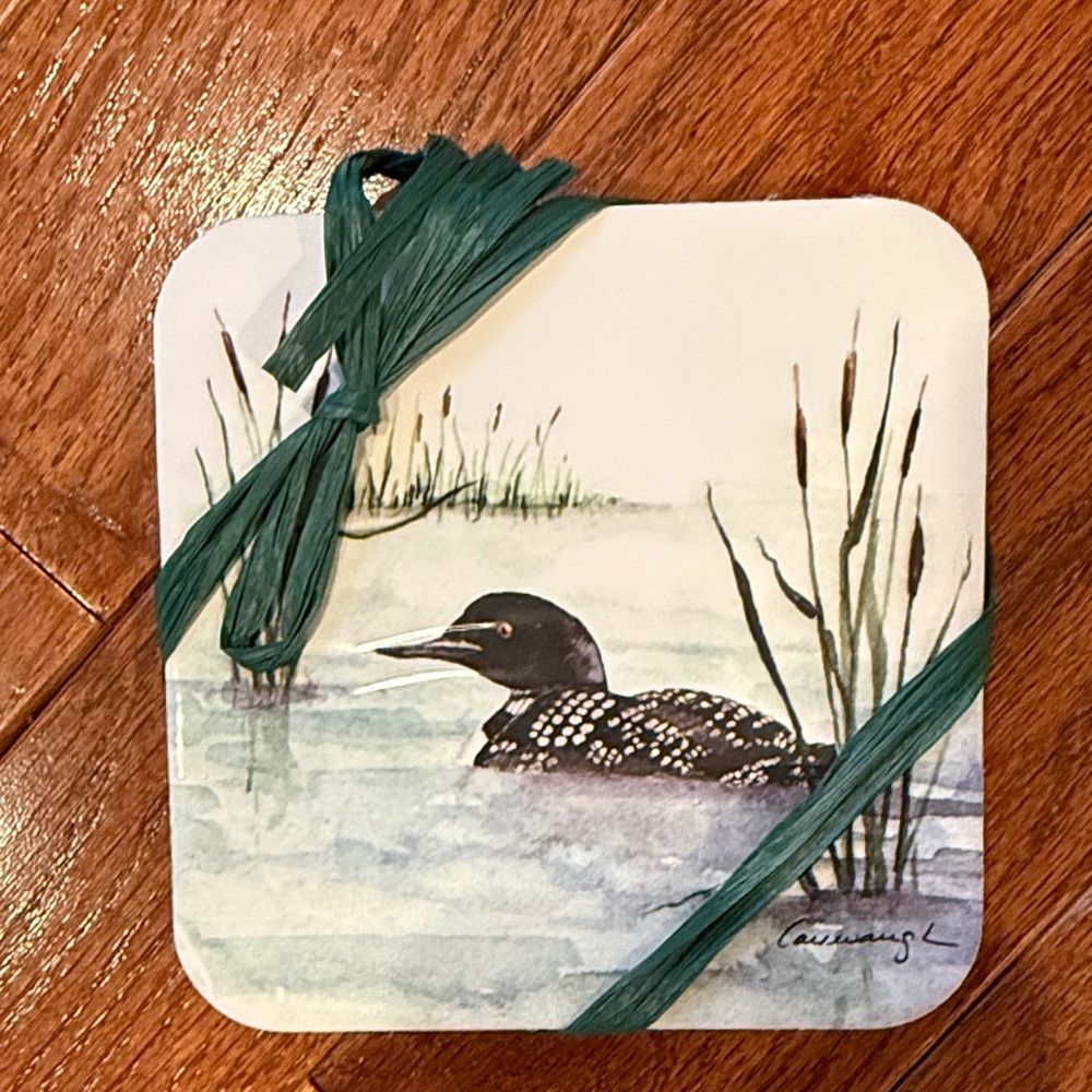 Source Unknown Loon Coasters with Green Accent